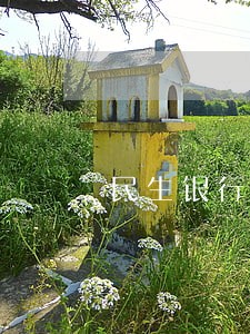 民生银行贷款多久算逾期 民生银行贷款多久算逾期