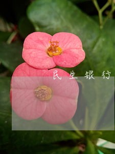民生银行贷款逾期一周 民生银行贷款逾期一周