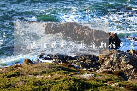 民生银行贷款逾期信息查询 民生银行贷款逾期信息查询