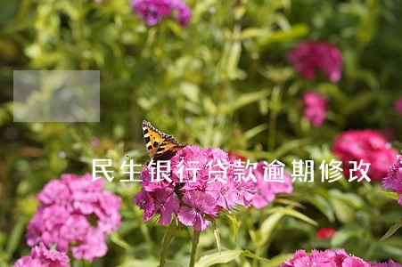 民生银行贷款逾期修改 民生银行贷款逾期修改