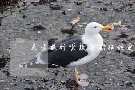 民生银行贷款逾期征信更新 民生银行贷款逾期征信更新