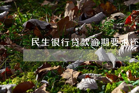 民生银行贷款逾期要求还总额