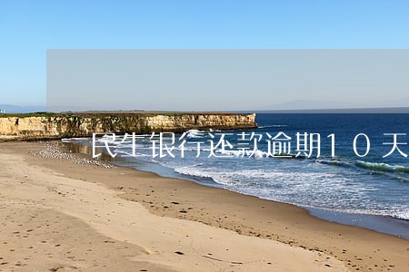民生银行还款逾期10天了 民生银行还款逾期10天了