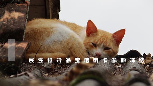 民生银行通宝信用卡逾期冻结 民生银行通宝信用卡逾期冻结