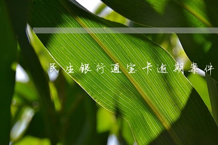 民生银行通宝卡逾期案件 民生银行通宝卡逾期案件