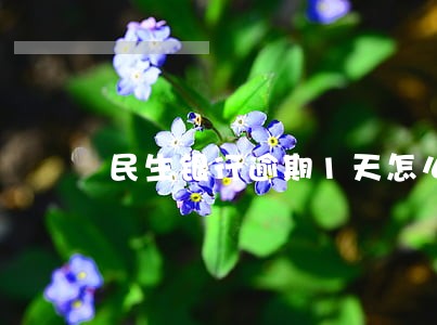 民生银行逾期1天怎么办 民生银行逾期1天怎么办