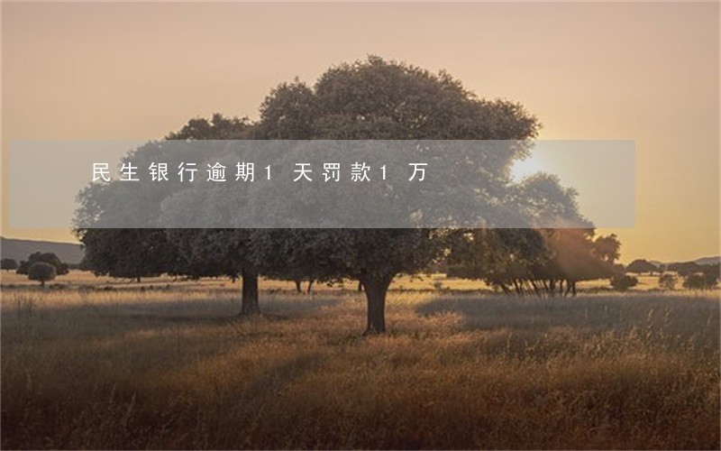 民生银行逾期1天罚款1万 民生银行逾期1天罚款1万