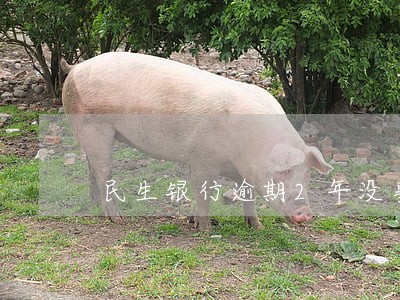 民生银行逾期2年没事的有吗 民生银行逾期2年没事的有吗