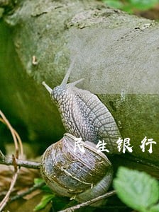 民生银行逾期8天 民生银行逾期8天