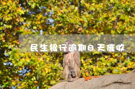 民生银行逾期8天催收 民生银行逾期8天催收