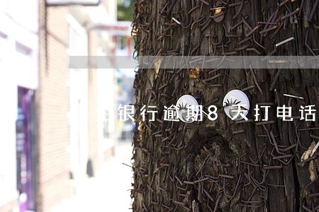 民生银行逾期8天打电话全额还款 民生银行逾期8天打电话全额还款