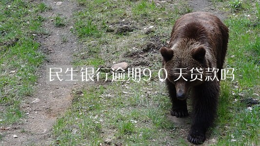 民生银行逾期90天贷款吗 民生银行逾期90天贷款吗
