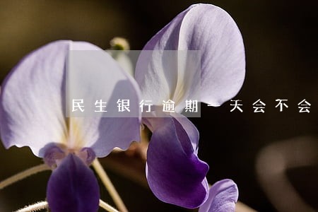 民生银行逾期一天会不会上征信 民生银行逾期一天会不会上征信