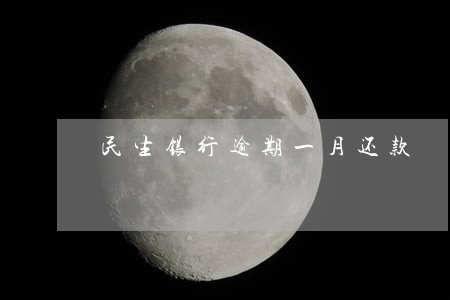 民生银行逾期一月还款 民生银行逾期一月还款