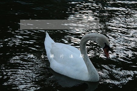 民生银行逾期三天全额罚息 民生银行逾期三天全额罚息