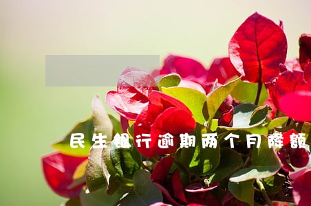 民生银行逾期两个月降额 民生银行逾期两个月降额