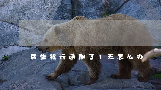 民生银行逾期了1天怎么办 民生银行逾期了1天怎么办