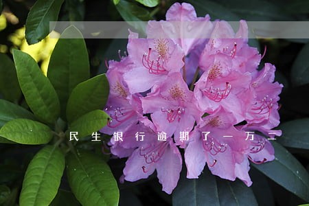 民生银行逾期了一万二 民生银行逾期了一万二