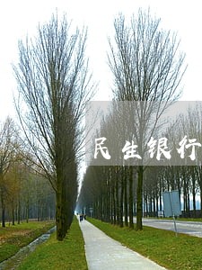 民生银行逾期会真的上门吗 民生银行逾期会真的上门吗
