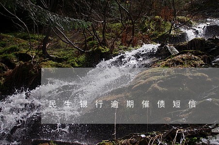 民生银行逾期催债短信 民生银行逾期催债短信