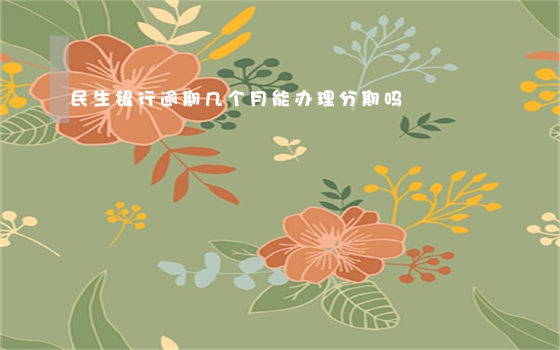 民生银行逾期几个月能办理分期吗 民生银行逾期几个月能办理分期吗