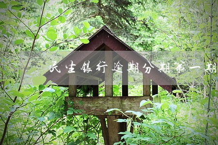 民生银行逾期分期第一期 民生银行逾期分期第一期