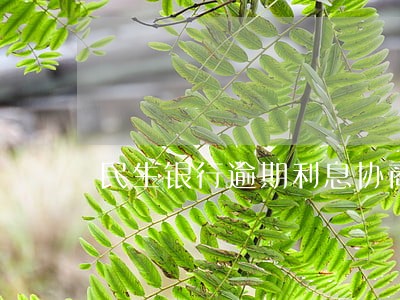 民生银行逾期利息协商 民生银行逾期利息协商