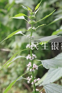 民生银行逾期利率 民生银行逾期利率