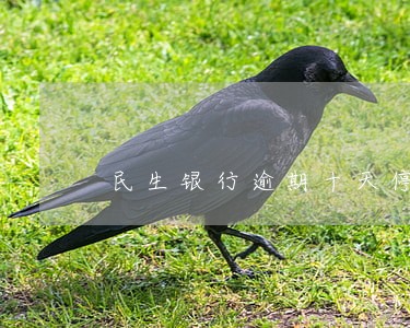 民生银行逾期十天停卡 民生银行逾期十天停卡