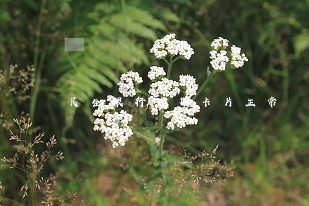 民生银行逾期卡片正常 民生银行逾期卡片正常