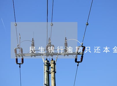 民生银行逾期只还本金的有吗 民生银行逾期只还本金的有吗