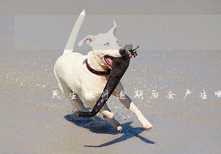 民生银行逾期后会产生哪些费用 民生银行逾期后会产生哪些费用