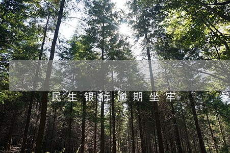 民生银行逾期坐牢 民生银行逾期坐牢
