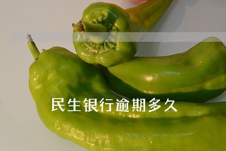 民生银行逾期多久 民生银行逾期多久