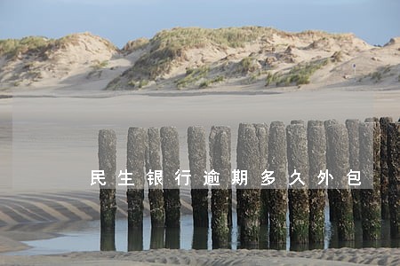民生银行逾期多久外包 民生银行逾期多久外包