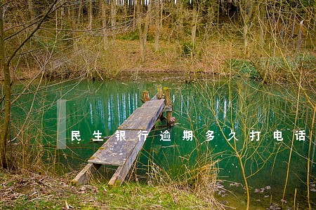 民生银行逾期多久打电话通知家人 民生银行逾期多久打电话通知家人