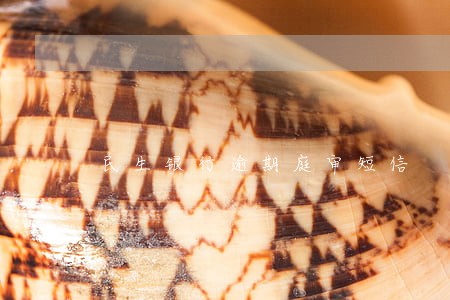 民生银行逾期庭审短信 民生银行逾期庭审短信