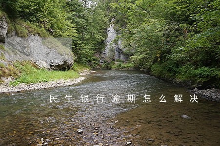 民生银行逾期怎么解决