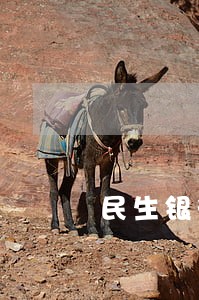 民生银行逾期怎么还上 民生银行逾期怎么还上