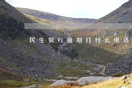 民生银行逾期打什么电话 民生银行逾期打什么电话
