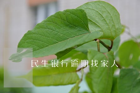 民生银行逾期找家人 民生银行逾期找家人