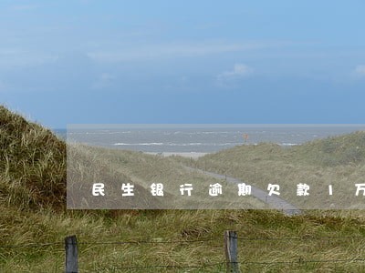 民生银行逾期欠款1万 民生银行逾期欠款1万