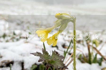 民生银行逾期款多少钱 民生银行逾期款多少钱