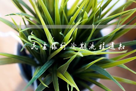 民生银行逾期流程通知 民生银行逾期流程通知