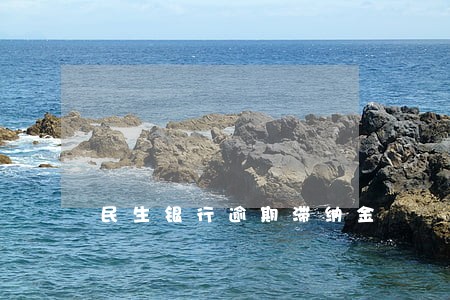 民生银行逾期滞纳金