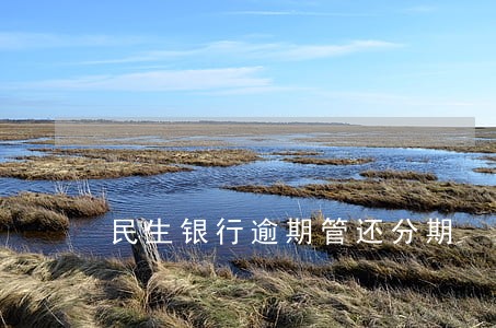 民生银行逾期管还分期