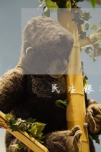 民生银行逾期被停 民生银行逾期被停