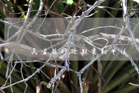 民生银行逾期要到单位 民生银行逾期要到单位
