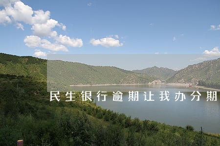 民生银行逾期让我办分期 民生银行逾期让我办分期