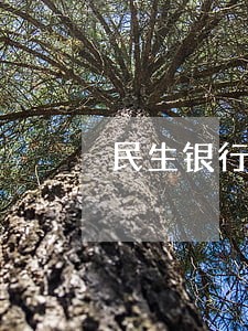 民生银行逾期记录错误 民生银行逾期记录错误